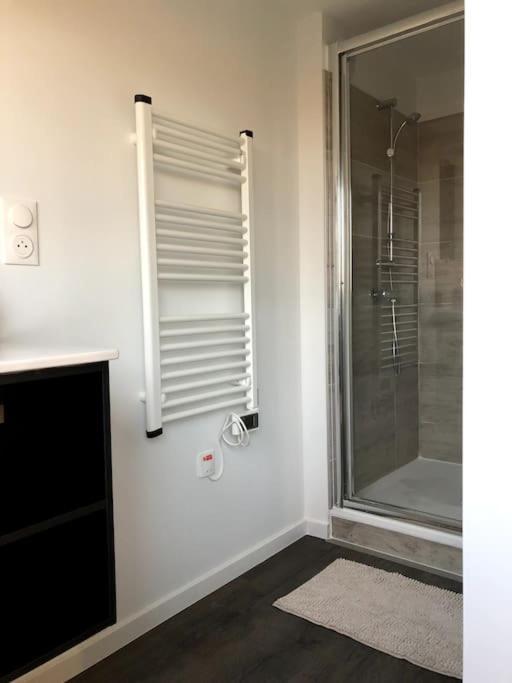 Immeuble Renove Au Centre D'auch. Apartment Auch